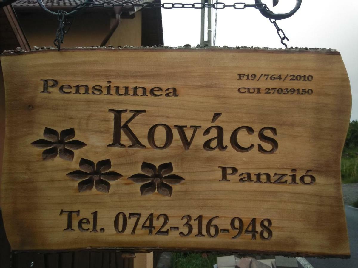 Kovacs Guesthouse Praid Extérieur photo
